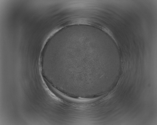 X0000056330987200509021625