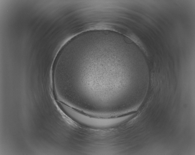 X0000056330988200509021625