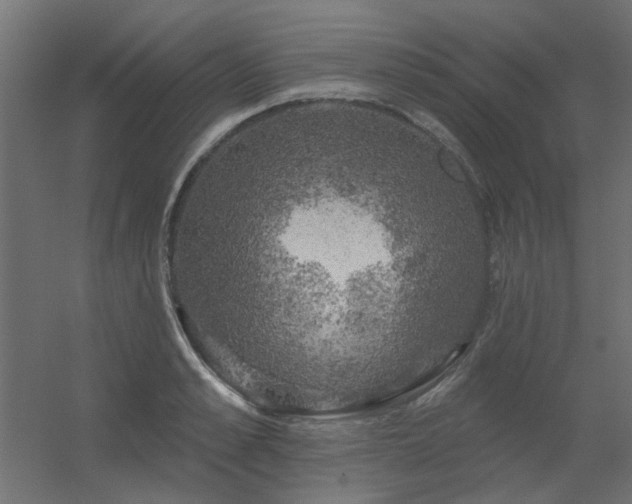 X0000056330989200509021625