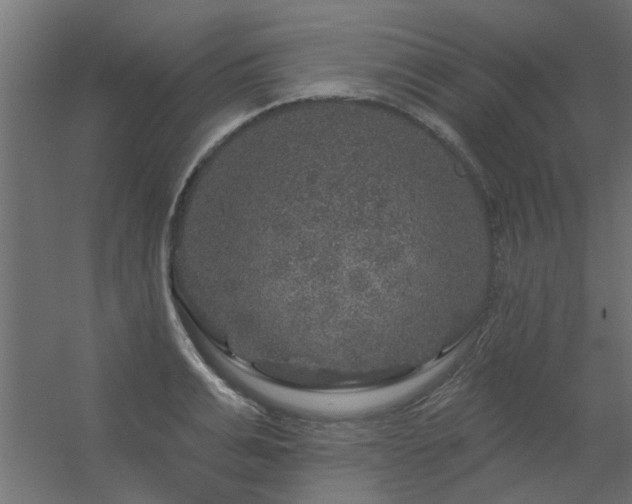 X0000056330991200509021625