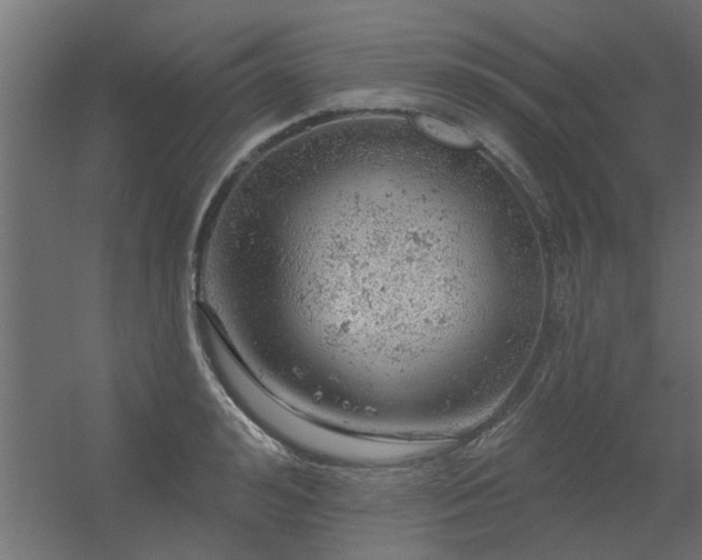 X0000056330992200509021625