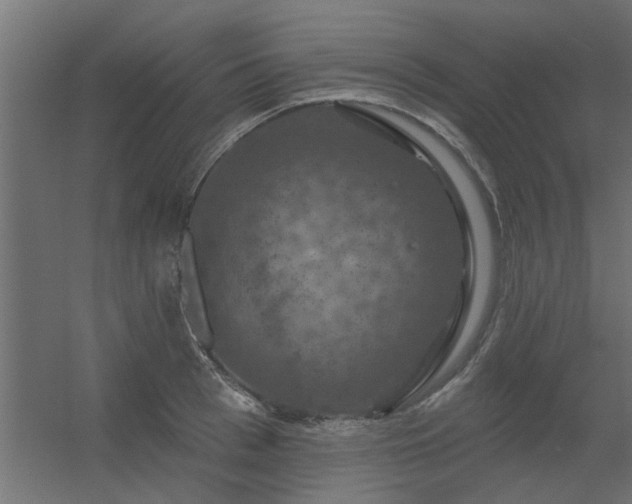 X0000056330993200509021625