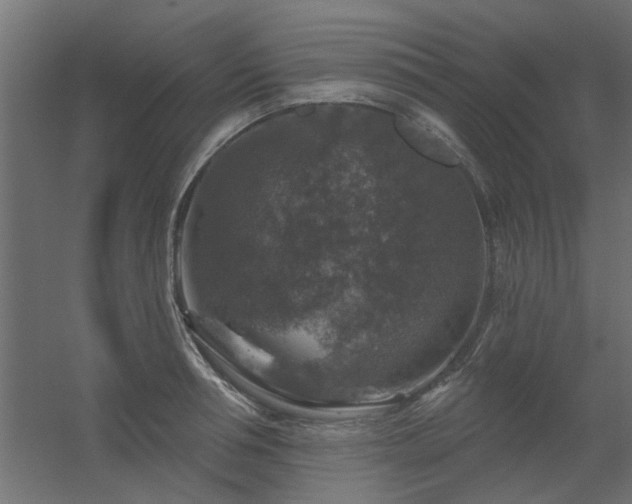 X0000056330994200509021624