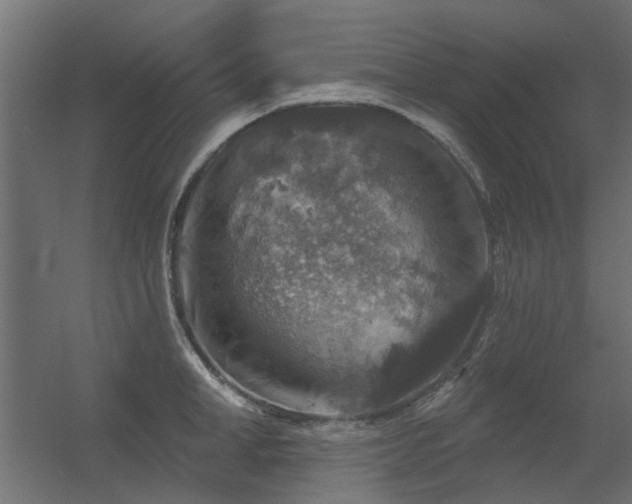 X0000056330998200509021624