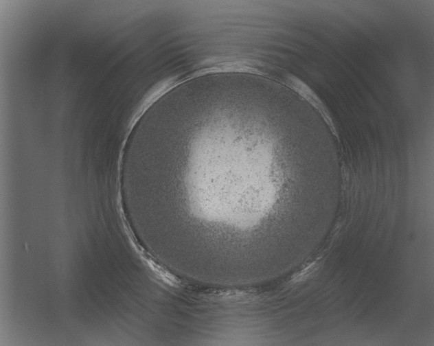 X0000056331002200509021624