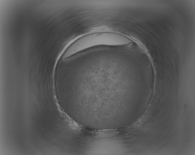 X0000056331008200509021624