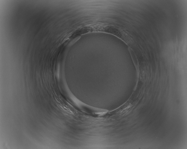 X0000056331010200509021623