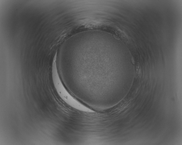 X0000056331012200509021623