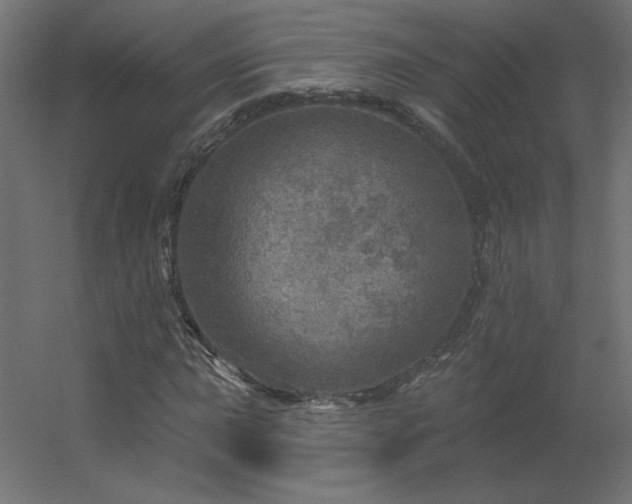 X0000056331015200509021624