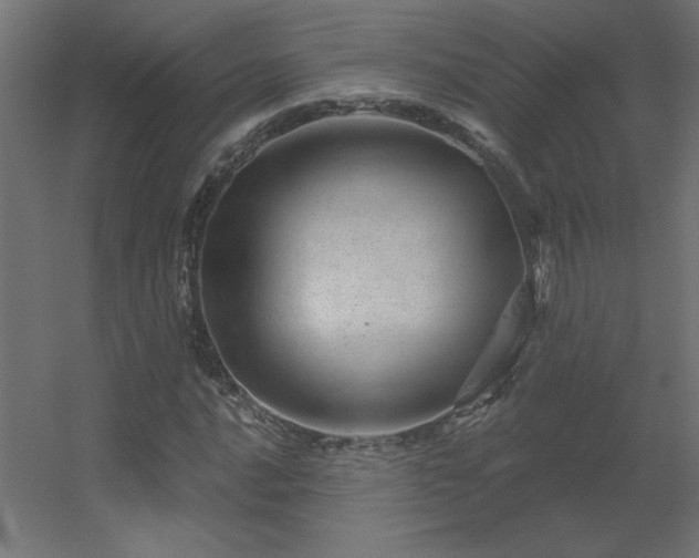 X0000056331016200509021624