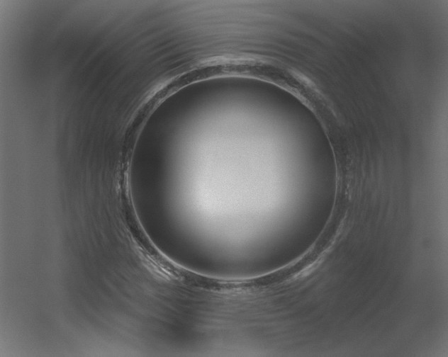 X0000056331017200509021624