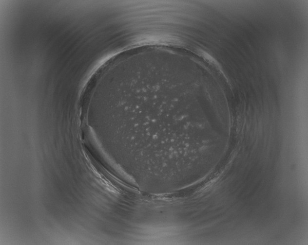 X0000056331019200509021624