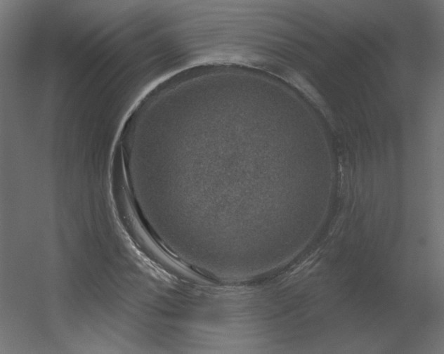 X0000056331020200509021624