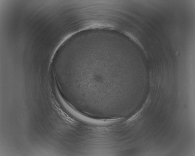 X0000056331021200509021624