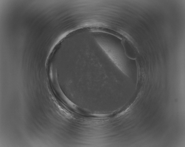 X0000056331022200509021624