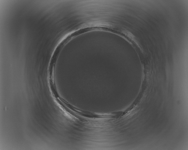 X0000056331024200509021624