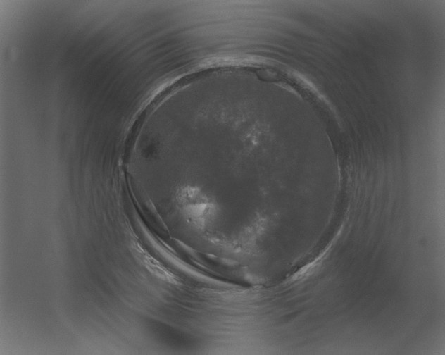 X0000056331025200509021624