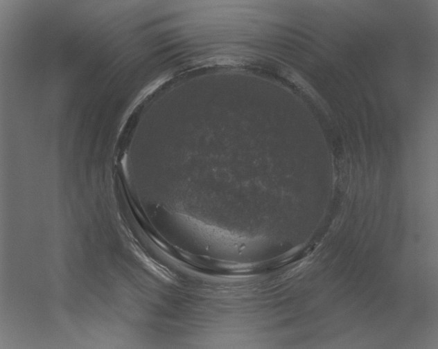 X0000056331026200509021624