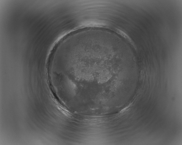 X0000056331027200509021624