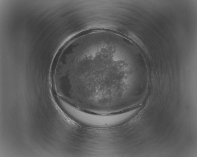 X0000056331028200509021624