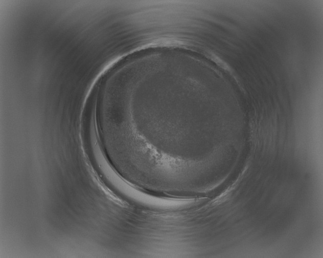 X0000056331029200509021624