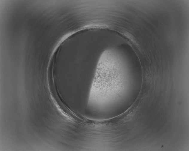 X0000056331030200509021624