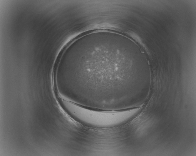 X0000056331032200509021624