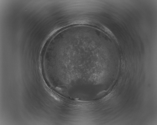 X0000056331035200509021624