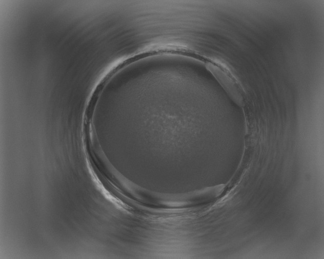 X0000056331038200509021624