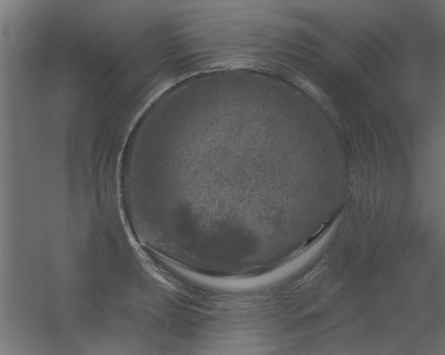 X0000056331039200509021624