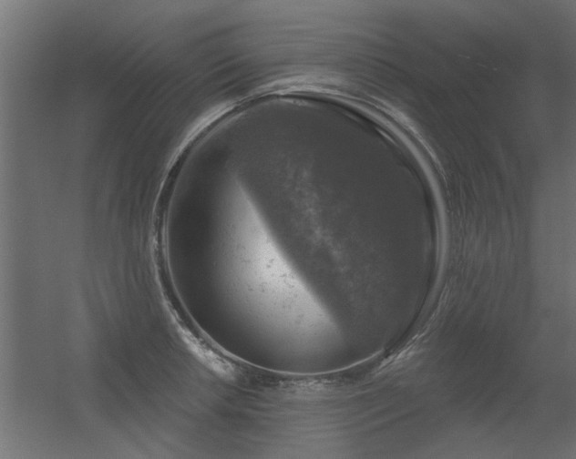 X0000056331042200509021624