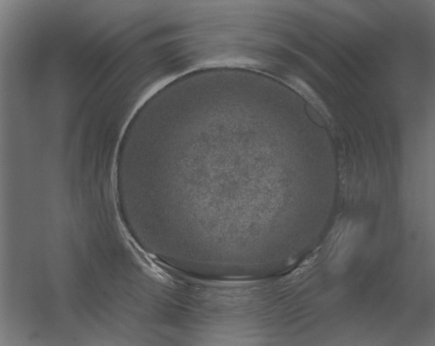 X0000056331044200509021624