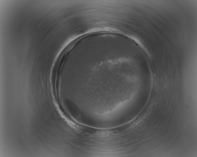 X0000056331046200509021624