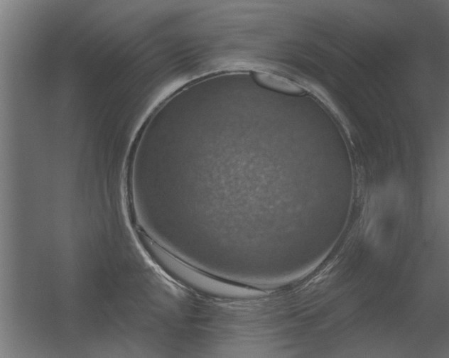 X0000056331048200509021624