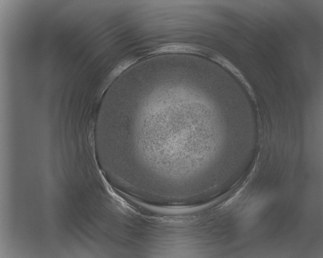 X0000056331049200509021624