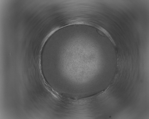 X0000056331051200509021624