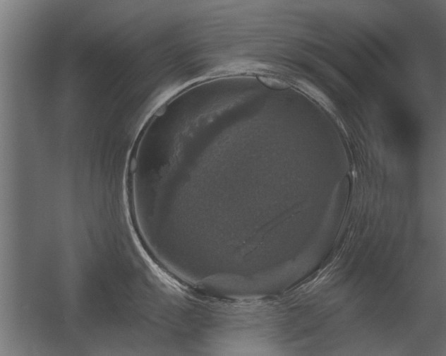 X0000056331055200509021624