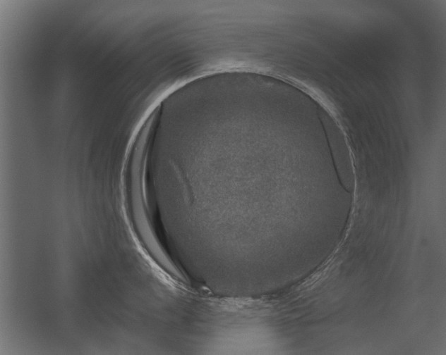 X0000056331056200509021624