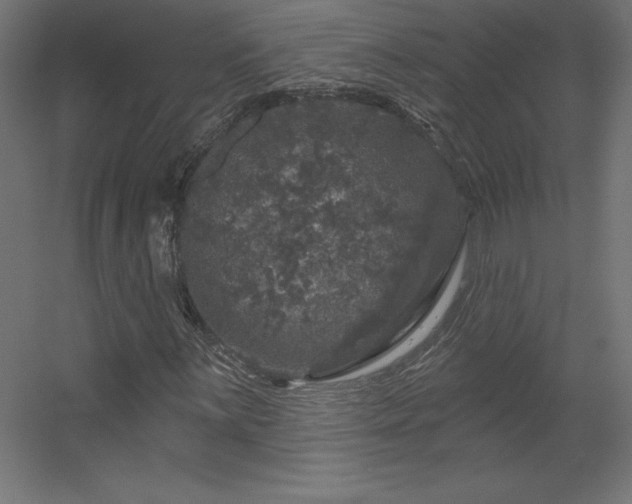 X0000056331059200509021623