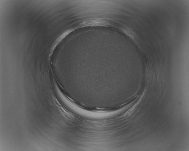 X0000056331066200509021623