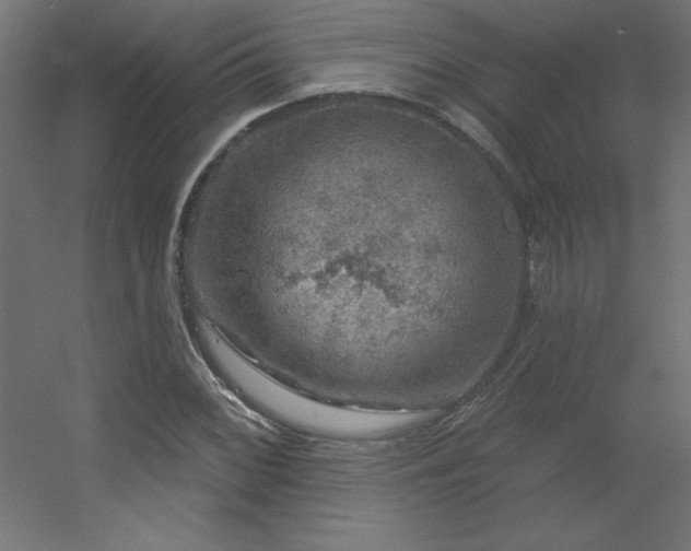 X0000056331068200509021623