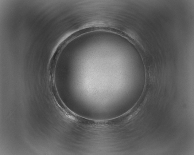 X0000056331070200509021623