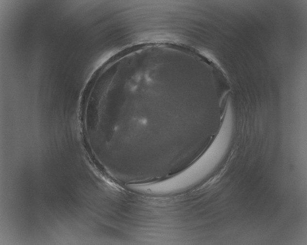 X0000056331071200509021623