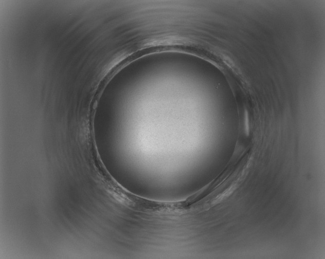 X0000056331073200509021623