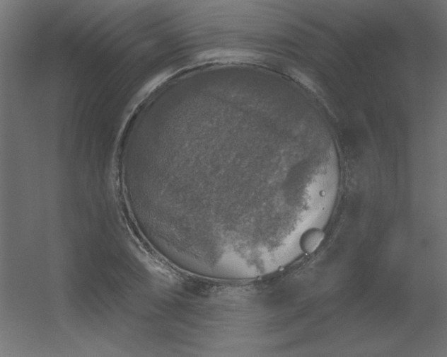 X0000056331074200509021623