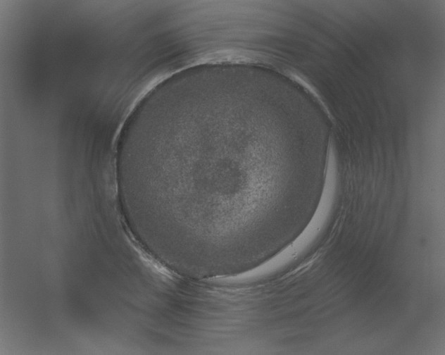 X0000056331075200509021623