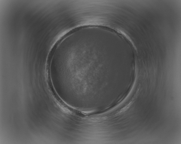 X0000056331077200509021623