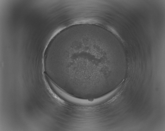 X0000056331079200509021623