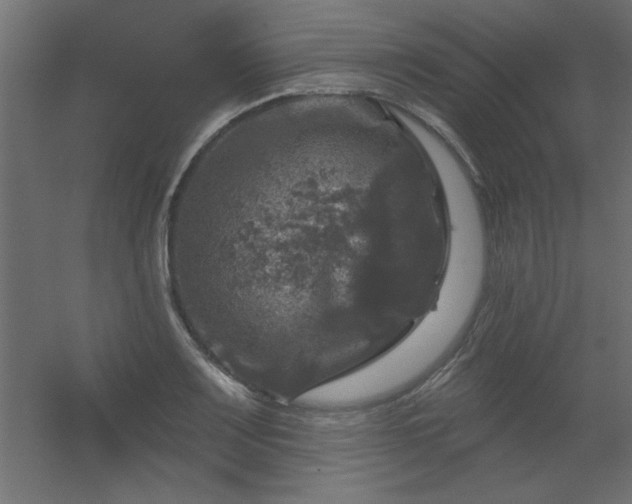 X0000056331083200509021623