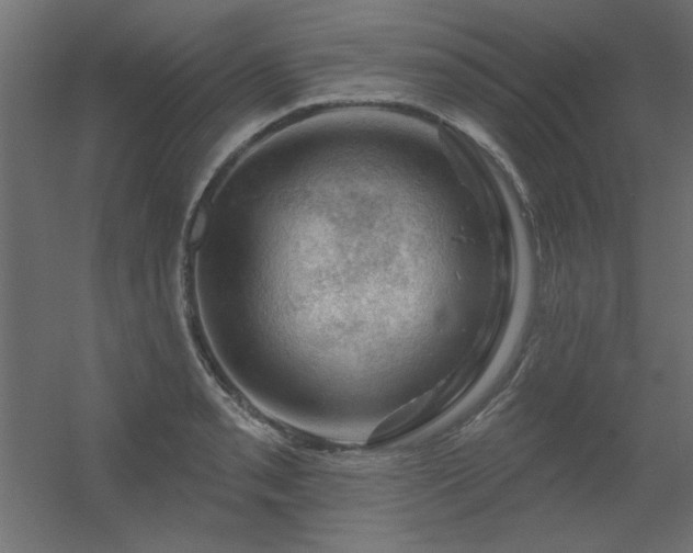 X0000056331085200509021623